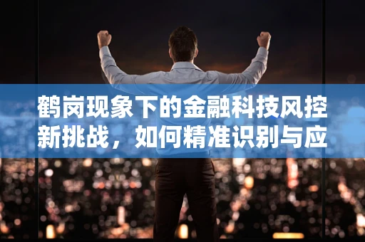 鹤岗现象下的金融科技风控新挑战，如何精准识别与应对低房价地区的信贷风险？
