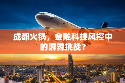 成都火锅，金融科技风控中的麻辣挑战？