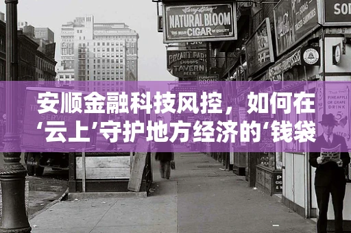 安顺金融科技风控，如何在‘云上’守护地方经济的‘钱袋子’？