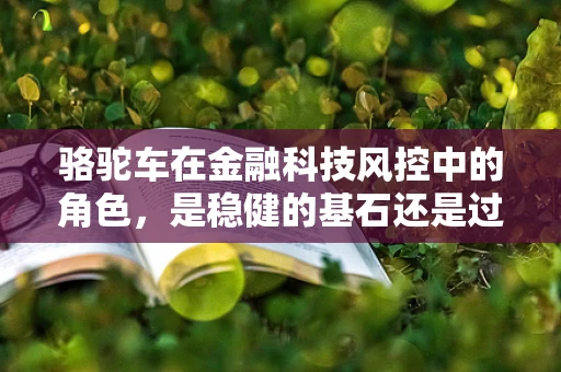 骆驼车在金融科技风控中的角色，是稳健的基石还是过时的象征？