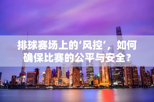 排球赛场上的‘风控’，如何确保比赛的公平与安全？