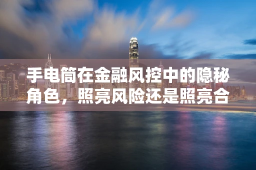 手电筒在金融风控中的隐秘角色，照亮风险还是照亮合规？