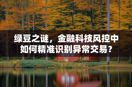 绿豆之谜，金融科技风控中如何精准识别异常交易？