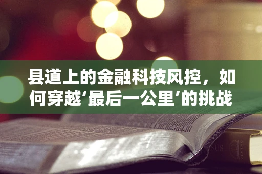 县道上的金融科技风控，如何穿越‘最后一公里’的挑战？