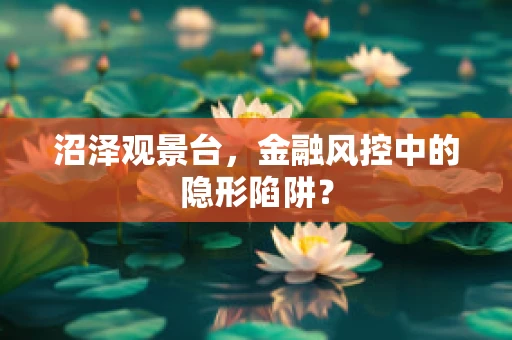 沼泽观景台，金融风控中的隐形陷阱？