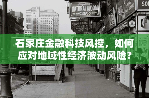 石家庄金融科技风控，如何应对地域性经济波动风险？