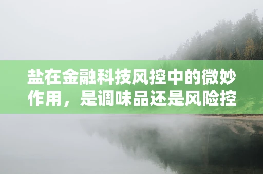 盐在金融科技风控中的微妙作用，是调味品还是风险控制剂？