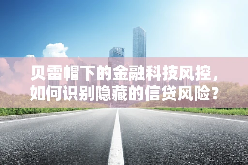 贝雷帽下的金融科技风控，如何识别隐藏的信贷风险？
