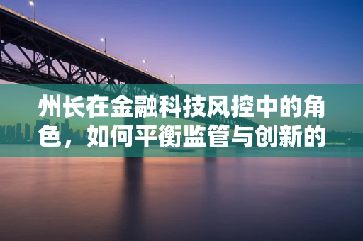 州长在金融科技风控中的角色，如何平衡监管与创新的边界？