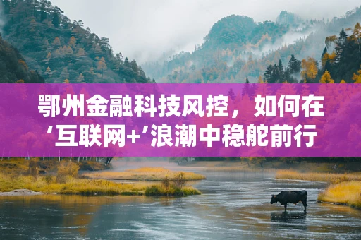 鄂州金融科技风控，如何在‘互联网+’浪潮中稳舵前行？