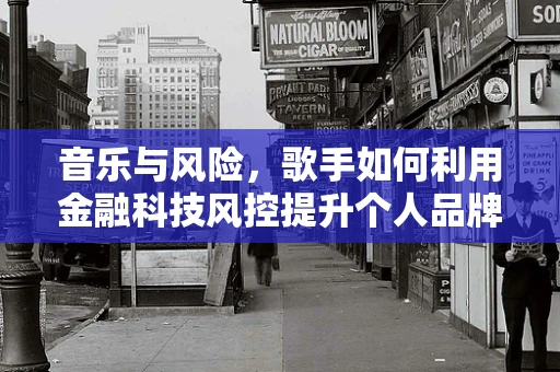 音乐与风险，歌手如何利用金融科技风控提升个人品牌安全？