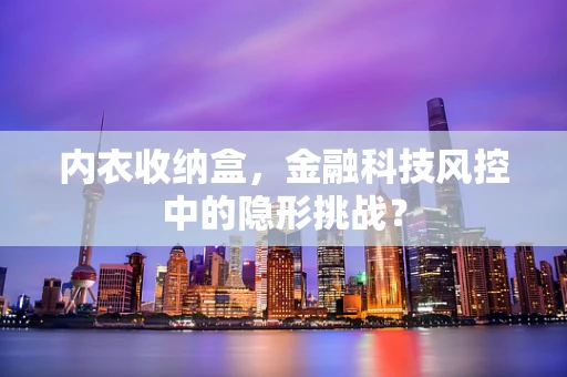 内衣收纳盒，金融科技风控中的隐形挑战？