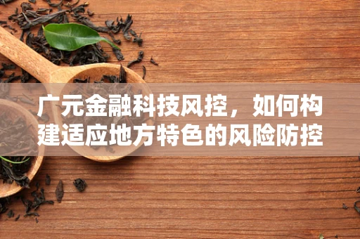 广元金融科技风控，如何构建适应地方特色的风险防控体系？