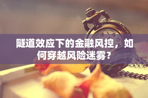 隧道效应下的金融风控，如何穿越风险迷雾？