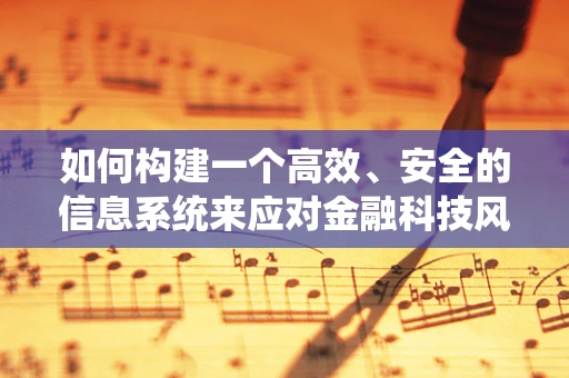 如何构建一个高效、安全的信息系统来应对金融科技风控挑战？