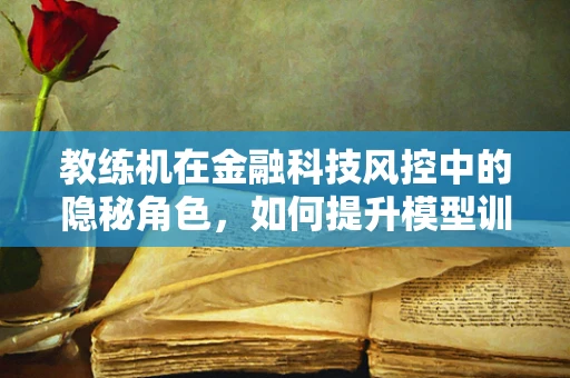教练机在金融科技风控中的隐秘角色，如何提升模型训练的精准度？