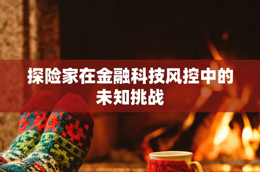 探险家在金融科技风控中的未知挑战