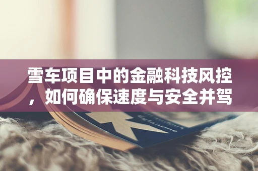 雪车项目中的金融科技风控，如何确保速度与安全并驾齐驱？