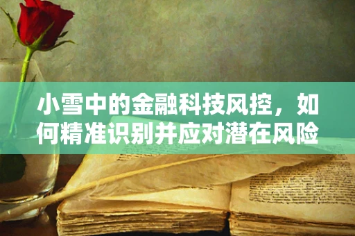小雪中的金融科技风控，如何精准识别并应对潜在风险？