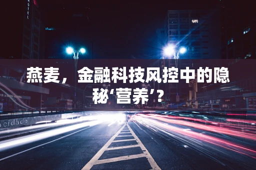 燕麦，金融科技风控中的隐秘‘营养’？