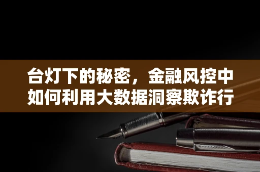 台灯下的秘密，金融风控中如何利用大数据洞察欺诈行为？
