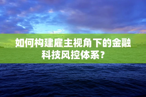 如何构建雇主视角下的金融科技风控体系？