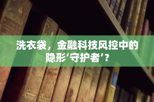洗衣袋，金融科技风控中的隐形‘守护者’？