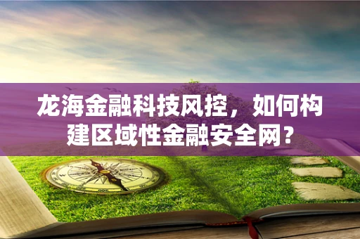 龙海金融科技风控，如何构建区域性金融安全网？