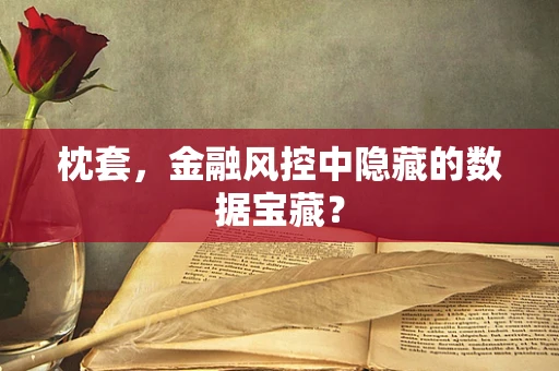 枕套，金融风控中隐藏的数据宝藏？
