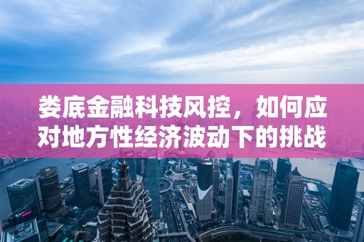 娄底金融科技风控，如何应对地方性经济波动下的挑战？