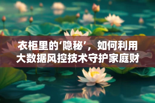 衣柜里的‘隐秘’，如何利用大数据风控技术守护家庭财务安全？