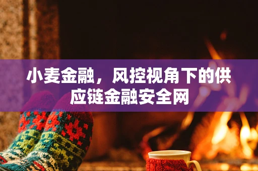小麦金融，风控视角下的供应链金融安全网
