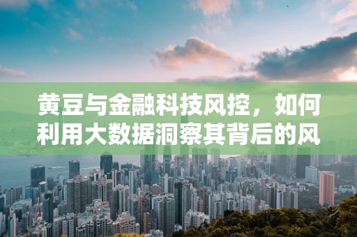 黄豆与金融科技风控，如何利用大数据洞察其背后的风险？
