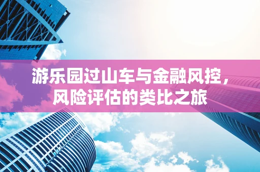 游乐园过山车与金融风控，风险评估的类比之旅
