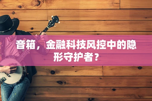 音箱，金融科技风控中的隐形守护者？