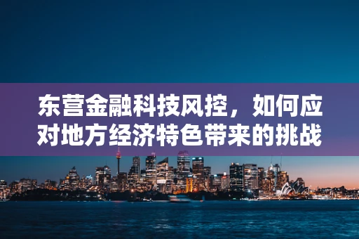 东营金融科技风控，如何应对地方经济特色带来的挑战？