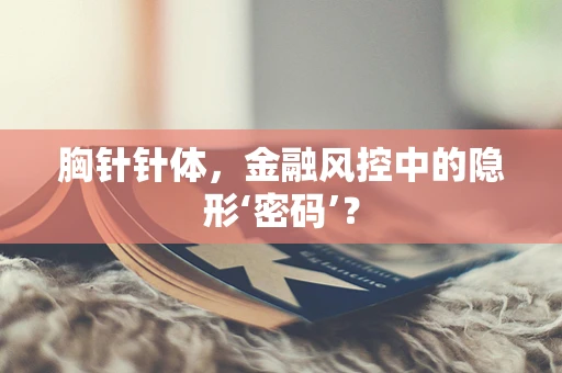胸针针体，金融风控中的隐形‘密码’？