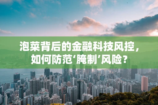 泡菜背后的金融科技风控，如何防范‘腌制’风险？