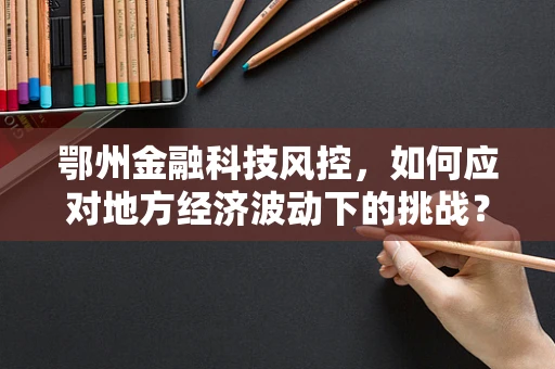 鄂州金融科技风控，如何应对地方经济波动下的挑战？
