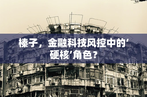 榛子，金融科技风控中的‘硬核’角色？