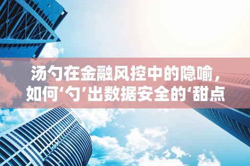汤勺在金融风控中的隐喻，如何‘勺’出数据安全的‘甜点’？