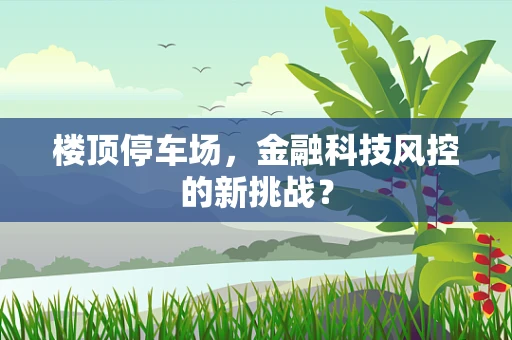 楼顶停车场，金融科技风控的新挑战？