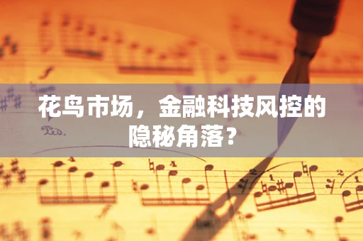 花鸟市场，金融科技风控的隐秘角落？