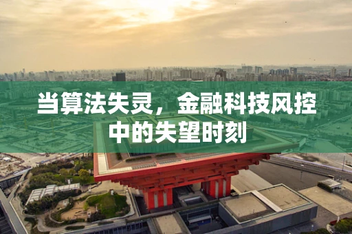 当算法失灵，金融科技风控中的失望时刻