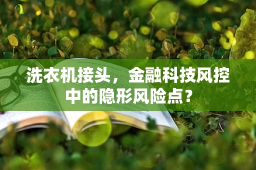洗衣机接头，金融科技风控中的隐形风险点？