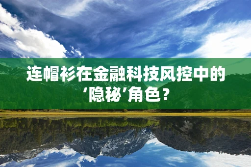 连帽衫在金融科技风控中的‘隐秘’角色？