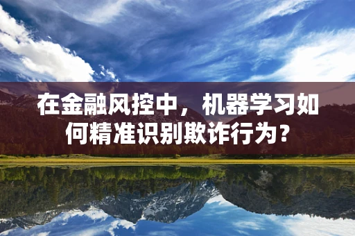 在金融风控中，机器学习如何精准识别欺诈行为？
