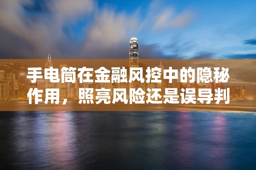 手电筒在金融风控中的隐秘作用，照亮风险还是误导判断？