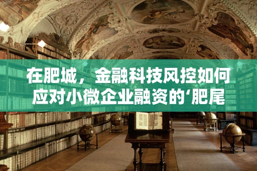 在肥城，金融科技风控如何应对小微企业融资的‘肥尾’风险？