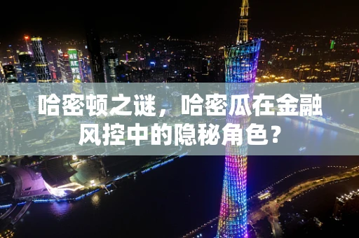哈密顿之谜，哈密瓜在金融风控中的隐秘角色？